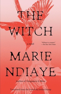 Enlarge image Cover: The Witch - Vintage Books