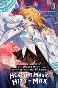 Cover: The World Bows Down Before My Flames, Vol. 3 (novel) - Yen Press