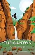 Cover: The Canyon - Atmosphere Press