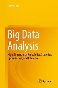 Abbildung von: Big Data Analysis - Springer