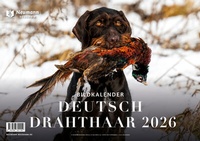 Abbildung von: Deutsch Drahthaar 2026 - J. Neumann-Neudamm Melsungen