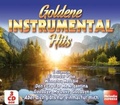 Cover: Goldene Instrumental Hits - MCP Sound & Media GmbH / A-&Ouml;tztal-Bahnhof
