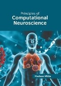 Cover: Principles of Computational Neuroscience - Willford Press