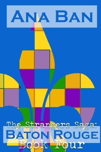 Enlarge image Cover: The Strangers Saga - Five Point Publishing