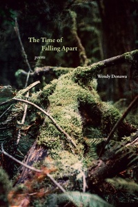 Enlarge image Cover: The Time of Falling Apart - Harbour Publishing