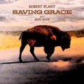 Cover: Saving Grace - Warner Music Group Germany Holding GmbH / Hamburg