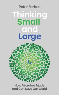 Enlarge image Cover: Thinking Small and Large - Icon Books