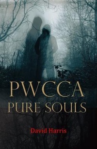 Enlarge image Cover: Pwcca Pure Souls - David Harris