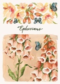 Cover: ESV Scripture Journal - Crossway Books
