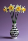Cover: The Irish Goodbye - W. W. Norton & Company