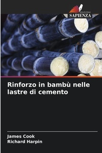 Abbildung von: Rinforzo in bambu nelle lastre di cemento - Edizioni Sapienza