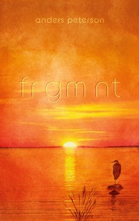 Abbildung von: Frgmnt - Koyo förlag