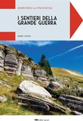 Cover: Monte Fior e la citt&agrave; di roccia - Pelago