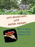 Cover: Back to Bocas: Rodney's Race Against Time (Wild Adventures with Animal Friends, #10) - Seaside Cove