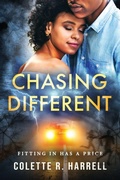 Cover: Chasing Different - INTENTIONAL ENTERTAINMENT LLC