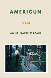 Enlarge image Cover: Amerigun - Persea Books Inc