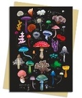 Cover: Anna Stead: Mushrooms & Fungi Greeting Card Pack - Flame Tree Publishing