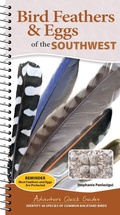 Cover: Bird Feathers & Eggs of the Southwest - Adventure Publications, Incorporated