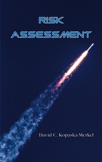 Enlarge image Cover: Risk Assessment - Island of Wak-Wak