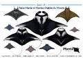 Cover: Guide des Raies Manta et Mantes Diables du Monde - The Manta Trust