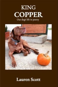 Abbildung von: King Copper - Baydreamer Writes