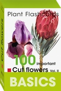 Cover: Cut flowers Vol. II - BLOOM'S