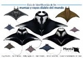 Cover: Guia de Identificacion de las Mantas y Rayas Diablo del Mundo - The Manta Trust