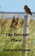 Cover: The Forever Place - Gillian Richardson