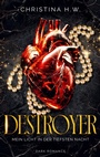 Cover: Destroyer - BoD - Books on Demand