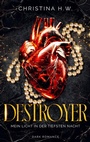 Cover: Destroyer - BoD - Books on Demand