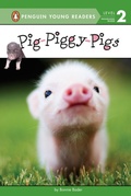 Cover: Pig-Piggy-Pigs - Penguin Young Readers