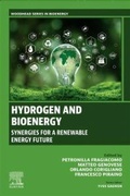 Cover: Hydrogen and Bioenergy - Woodhead Publishing