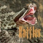 Cover: Rattler - Grosset & Dunlap