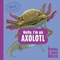 Cover: Hello, I'm an Axolotl (Meet the Wild Things, Book 4) - G.P. Putnam's Sons Books for Young Readers