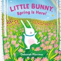 Cover: Little Bunny, Spring Is Here! - G.P. Putnam's Sons Books for Young Readers