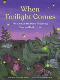 Enlarge image Cover: When Twilight Comes - Chronicle Books
