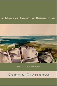 Enlarge image Cover: A Moment Short of Perfection - White Pine Press