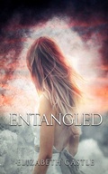 Cover: Entangled - In The Air Publishing