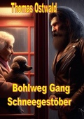 Cover: Bohlweg Gang - Schneegest&ouml;ber - epubli