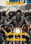 Cover: Bohlweg Gang - Bandenkrieg - epubli