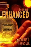 Cover: Enhanced - Fire & Ice Young Adult Books