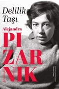 Cover: Delilik Tasi - Everest Yayinlari