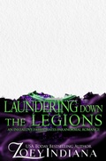 Cover: Laundering Down the Legions: A Hero with Trauma Why Choose Romance - Zoey Indiana