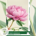 Cover: The Peony Chronicles - Reflections: 10 Everyday Short Stories vol. 002 - B1-B2 (+ Audio-CD) - EasyOriginal Verlag