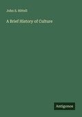 Cover: A Brief History of Culture - Antigonos Verlag
