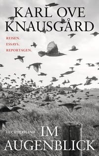 Abbildung von: Im Augenblick - Luchterhand Literaturverlag