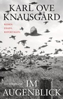 Cover: Im Augenblick - Luchterhand Literaturverlag
