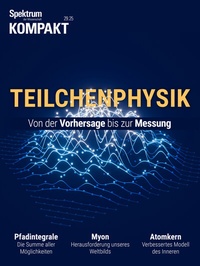 Abbildung von: Spektrum Kompakt - Teilchenphysik - Spektrum der Wissenschaft