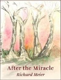 Enlarge image Cover: AFTER THE MIRACLE - HappenStance