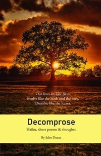 Abbildung von: Decomprose - Insightful Journeys